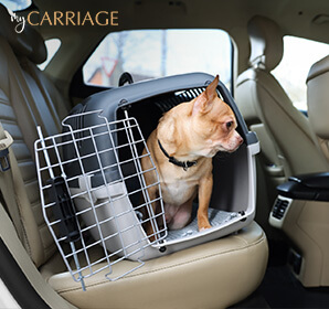 Pet-Friendly Vehicles 4 Car Features to Lookout for